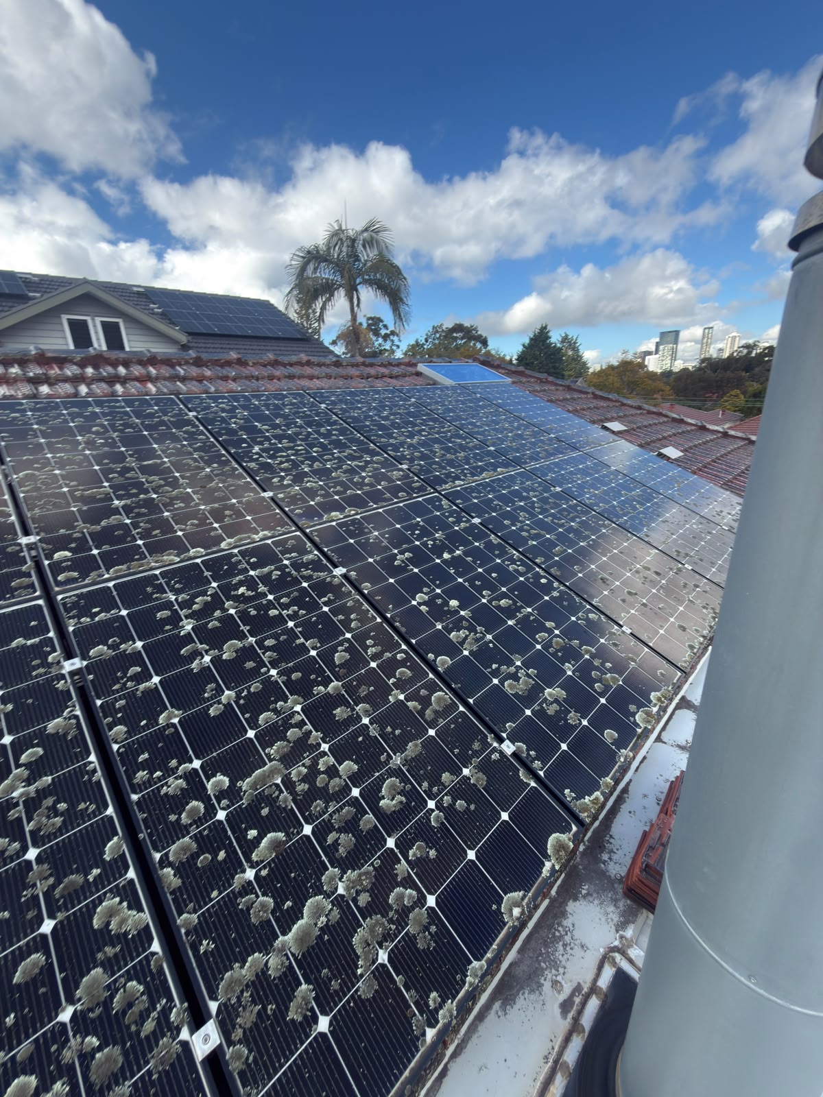 Solar panels covered in lichen and grime before Jetmate cleaning